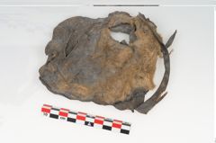 Foto von Fell (NHMW-PRAE-073499)